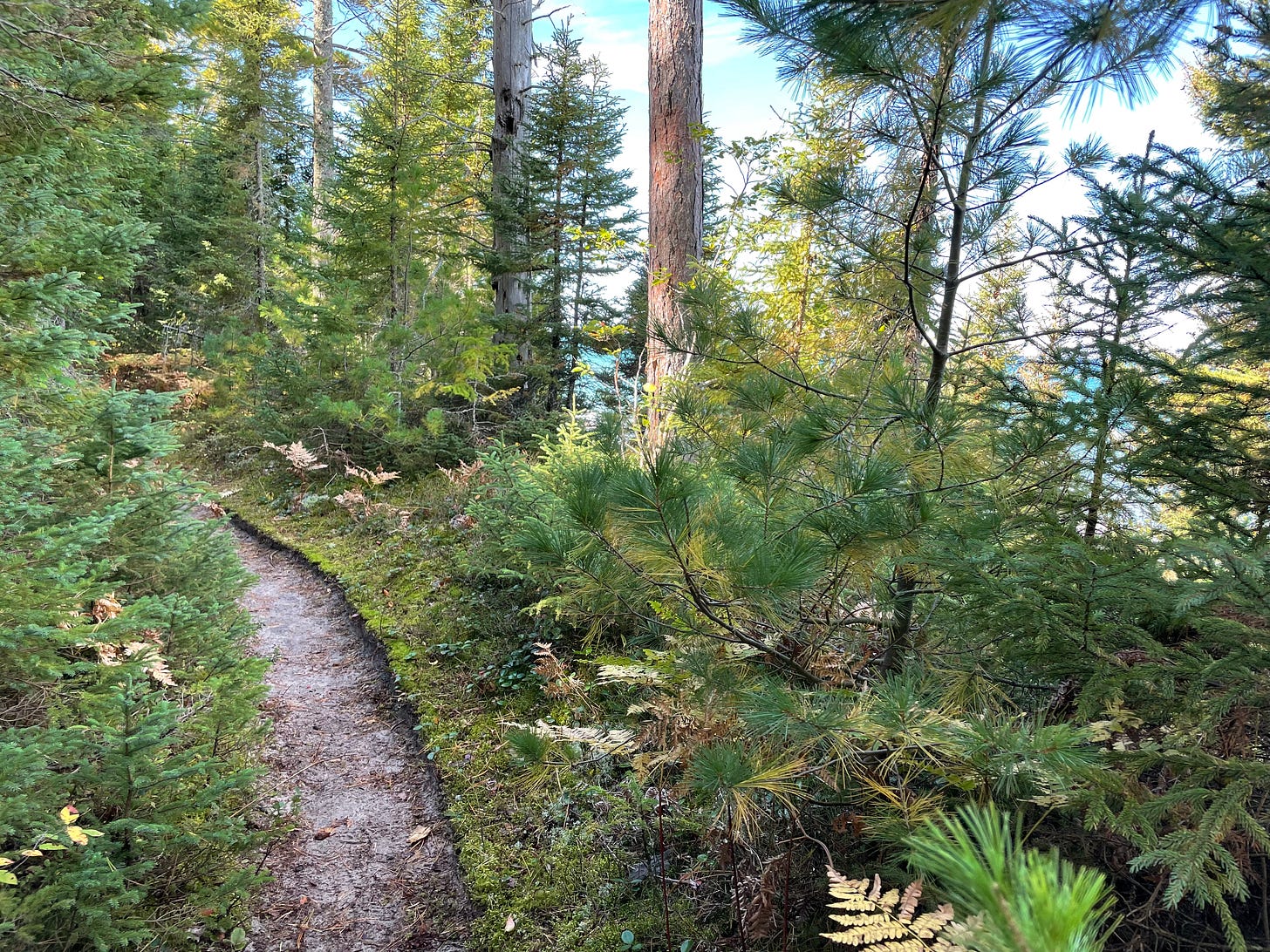 North Country Trail in Pictured Rocks National Lakeshore: A single track trail through moss and evergreen trees.