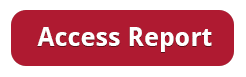 access report