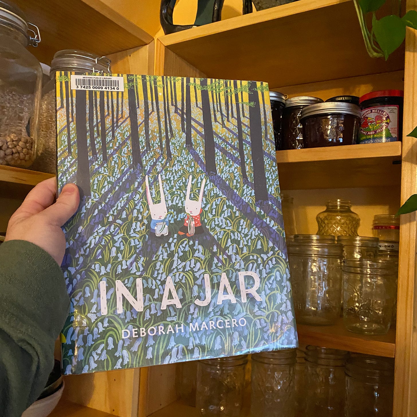 I’m holding this book in front of my kitchen shelves, full of empty mason jars, jam jars, and big glass jars of beans.