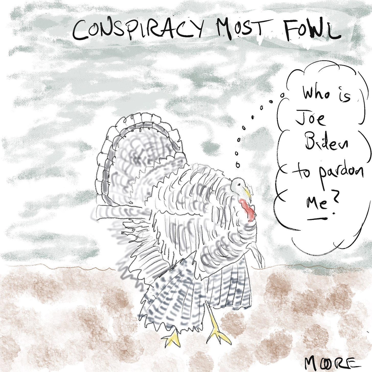 Conspiracy-minded turkey