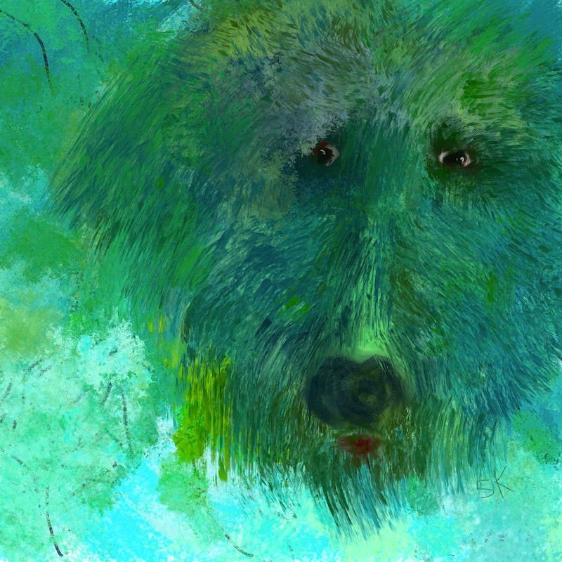 Head shot of a shaggy green dog with a worried expression.