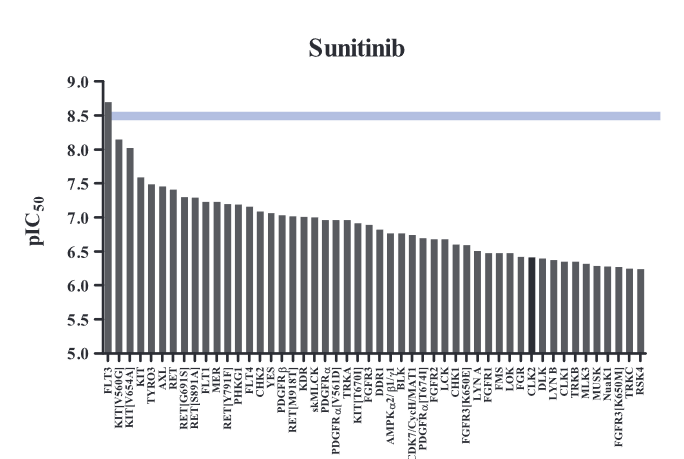 Sunitinib efficacy