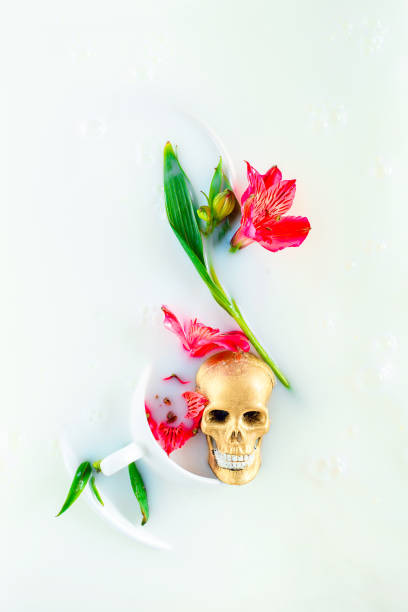 golden scull with flowers dissolving in white, memento mori concept, seasonal card - momento mori stock pictures, royalty-free photos & images