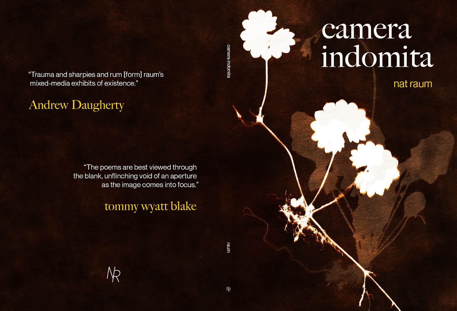 The cover of nat raum's 'camera indomita', which features two layered van dyke prints and blurb excerpts by Andrew Daugherty and tommy wyatt blake