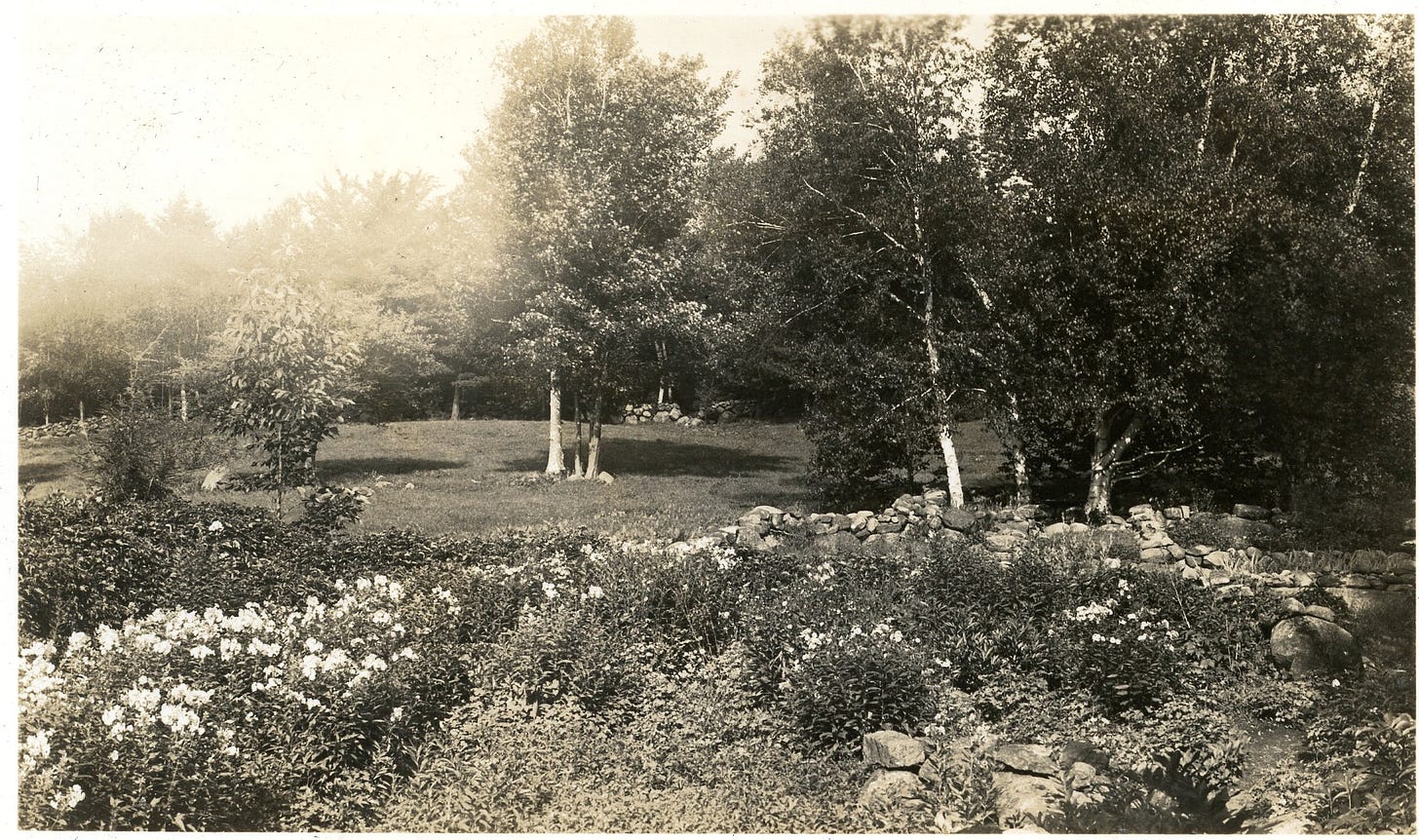 Flower bed, rock wall and clumps of trees