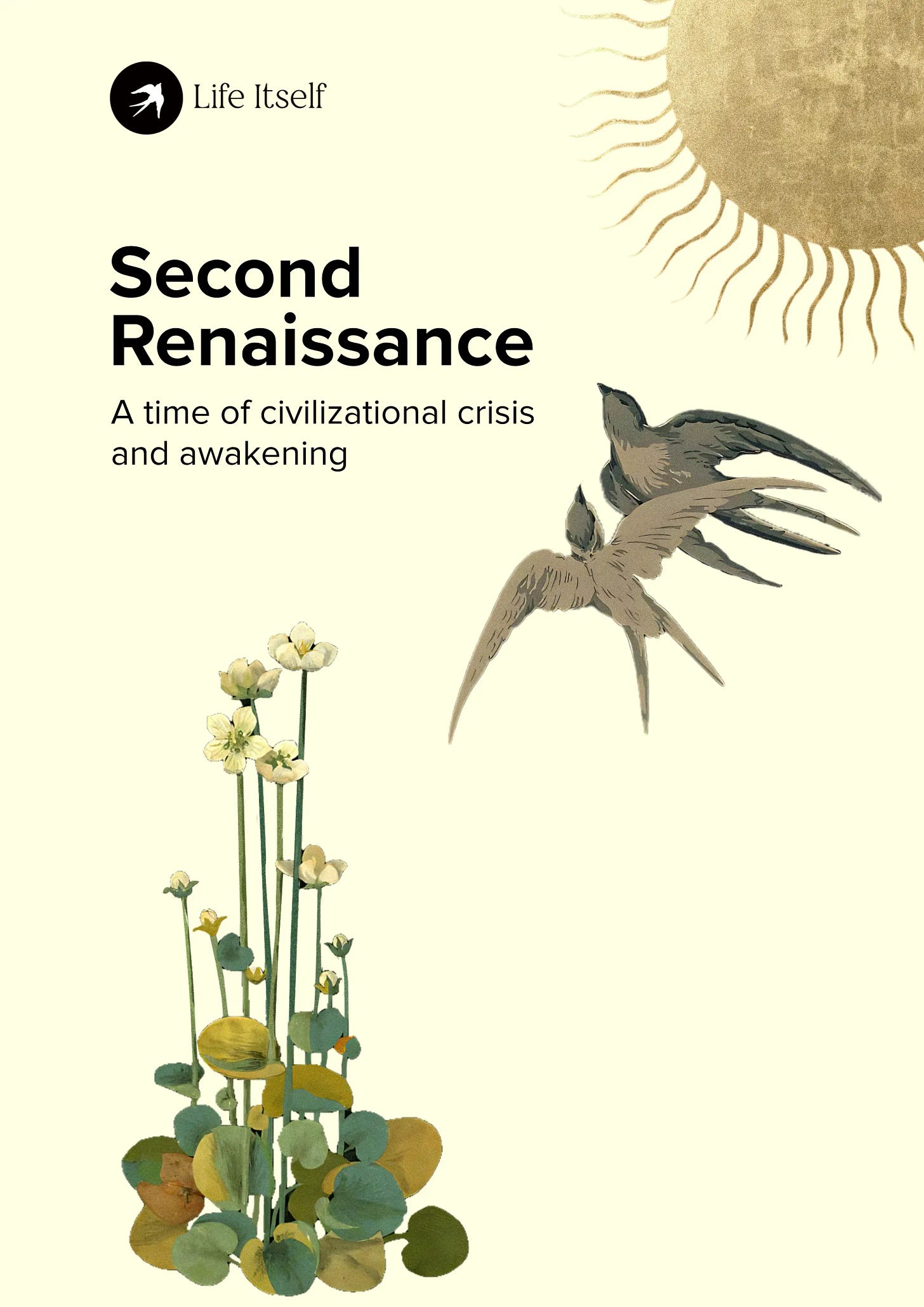 Second Renaissance Whitepaper cover