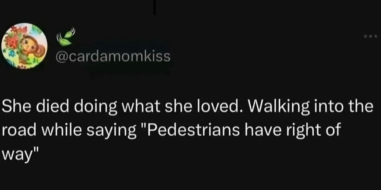 May be an image of text that says '@cardamomkiss She died doing what she loved. Walking into the road while saying "Pedestrians have right of way"'