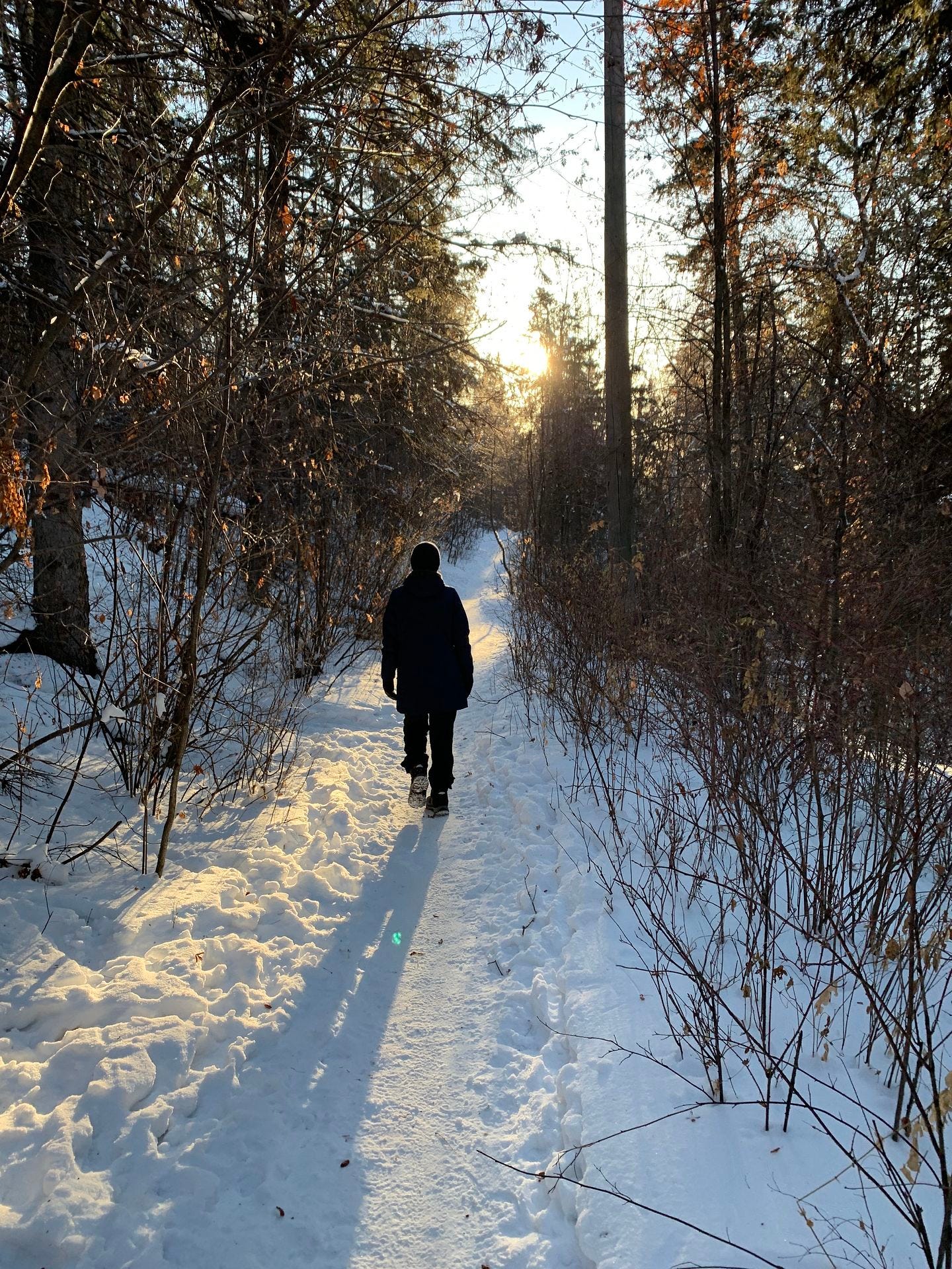 森の道を歩く訳者の写真