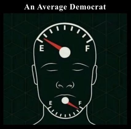 r/ConservativeMemes - An Average Democrat