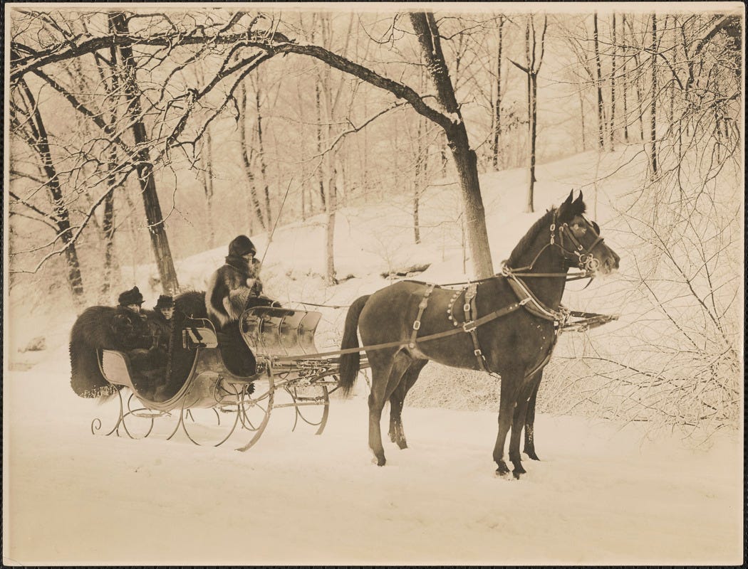 Three people in a horse drawn sleigh - Digital Commonwealth