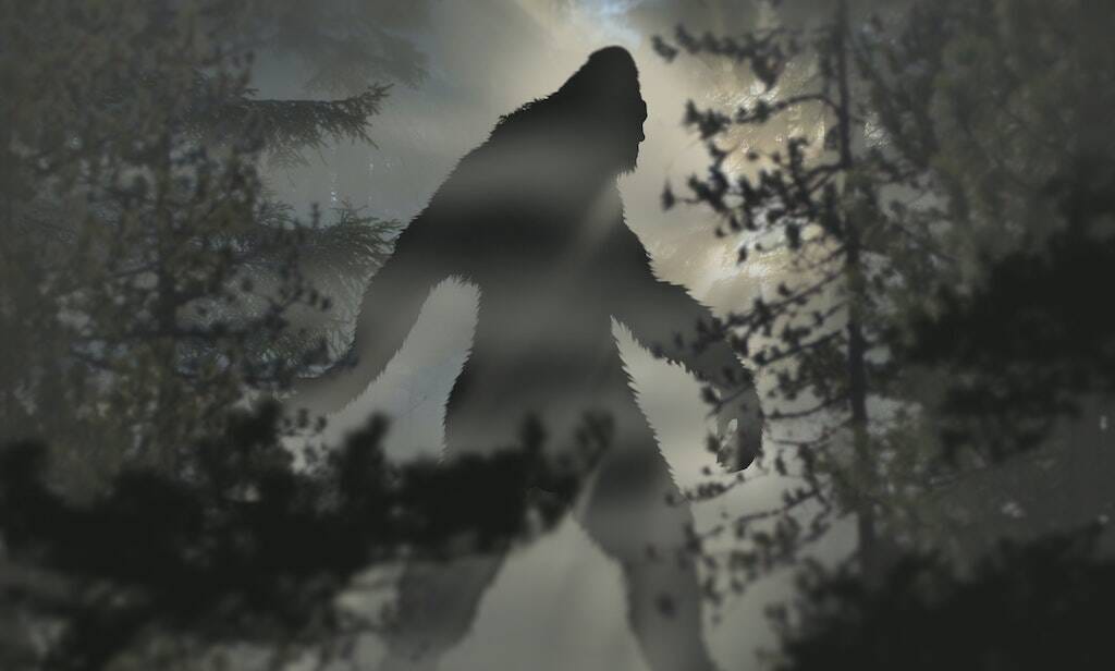 Bigfoot in the Bennington Triangle Bigfoot in the Bennington Triangle