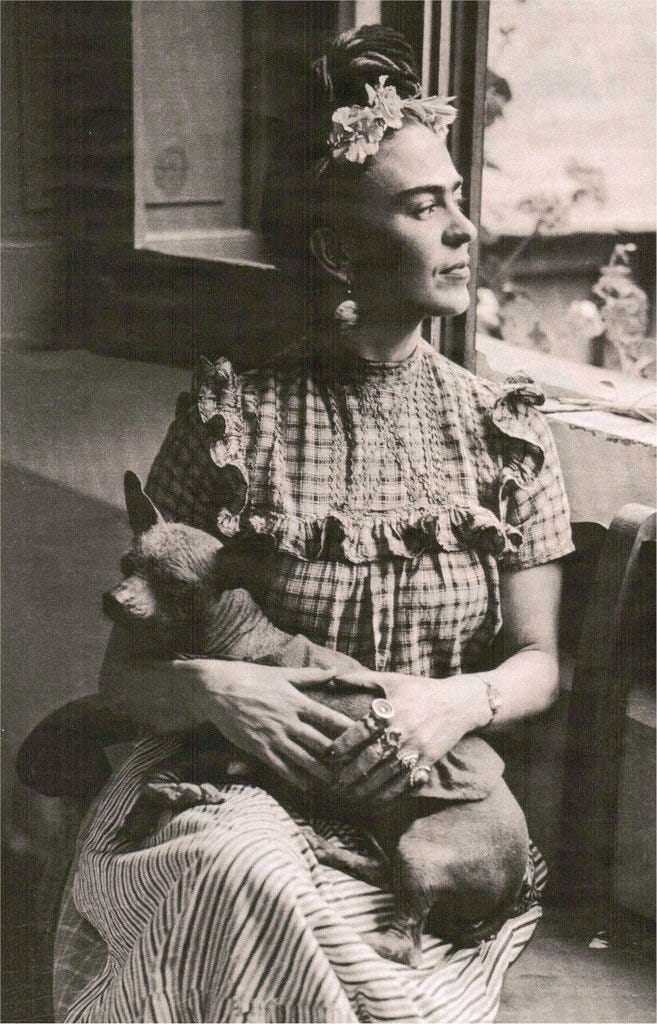 WOMENSART on X: "Frida Kahlo holding her dog c.1944 #WomensArt (photo by O.  Bettmann) https://t.co/awoHwkr7kE" / X