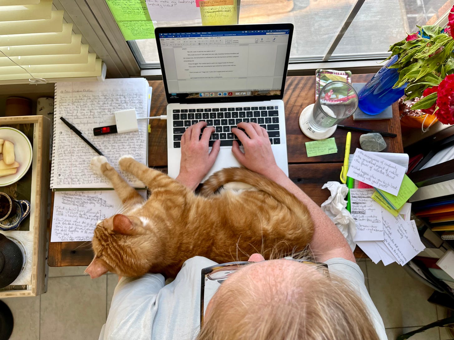 An overhead picture of a cat laying across a keyboard while a woman attempts to type.