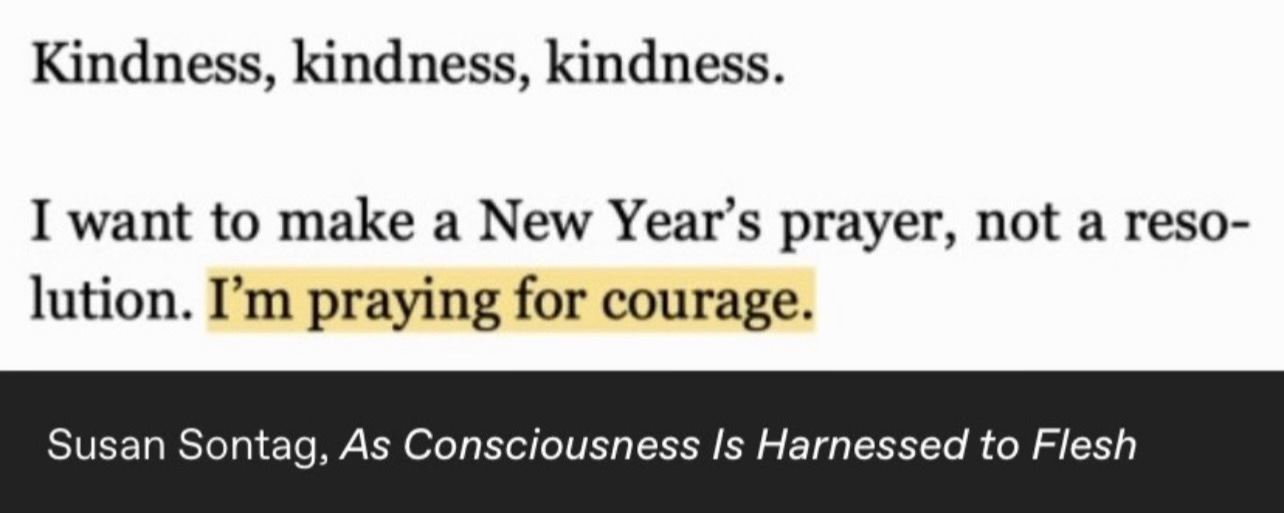 “Kindness, kindness, kindness. I want to make a New Year’s prayer, not a resolution. I’m praying for courage.” - Susan Sontag, As Consciousness Is Harnessed to Flesh