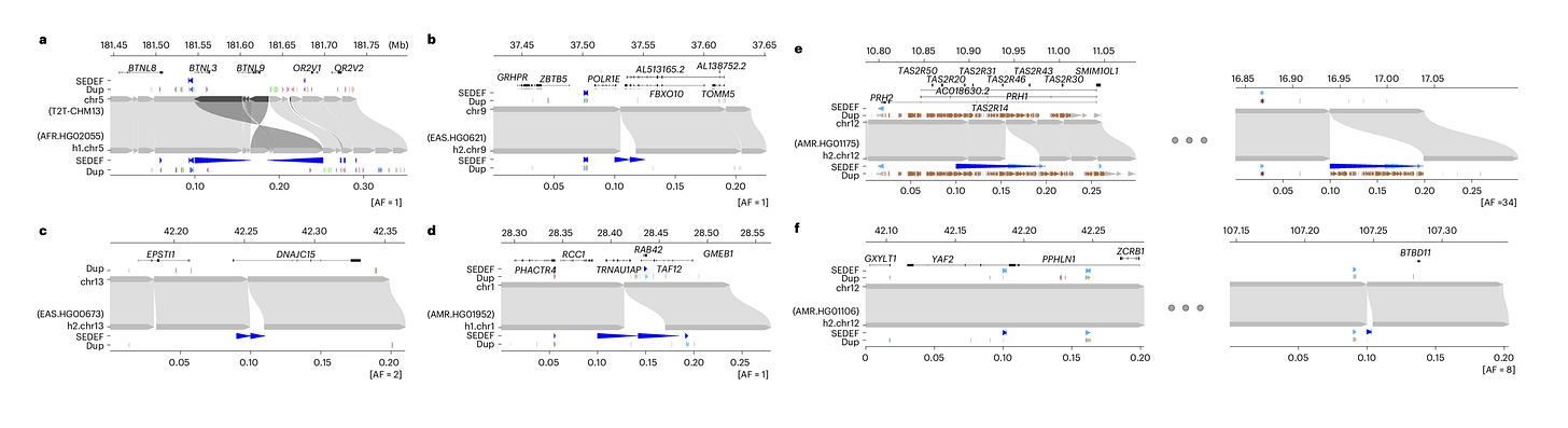 Eight maps with the reference sequence illustrated at the top, variant sequence at bottom, showing large pieces of DNA duplicated, inserted, or inverted Eight maps with the reference sequence illustrated at the top, variant sequence at bottom, showing large pieces of DNA duplicated, inserted, or inverted