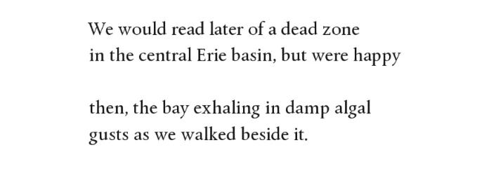 Lines from Solie's poem that read "We would read later of a dead zone / in the central Erie basin, but were happy // then, the bay exhaling in damp / gusts as we walked beside it.