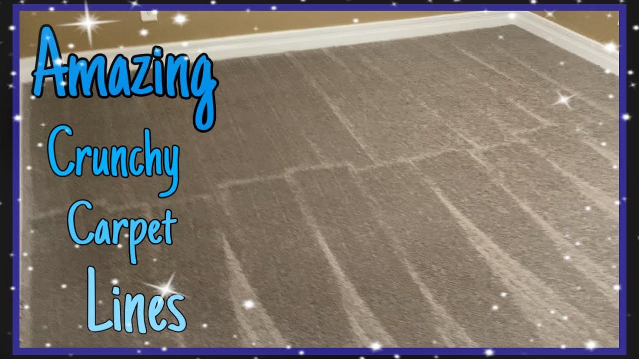 Never Been Vacuumed Carpet | beautiful Carpet Lines | Full Room ...