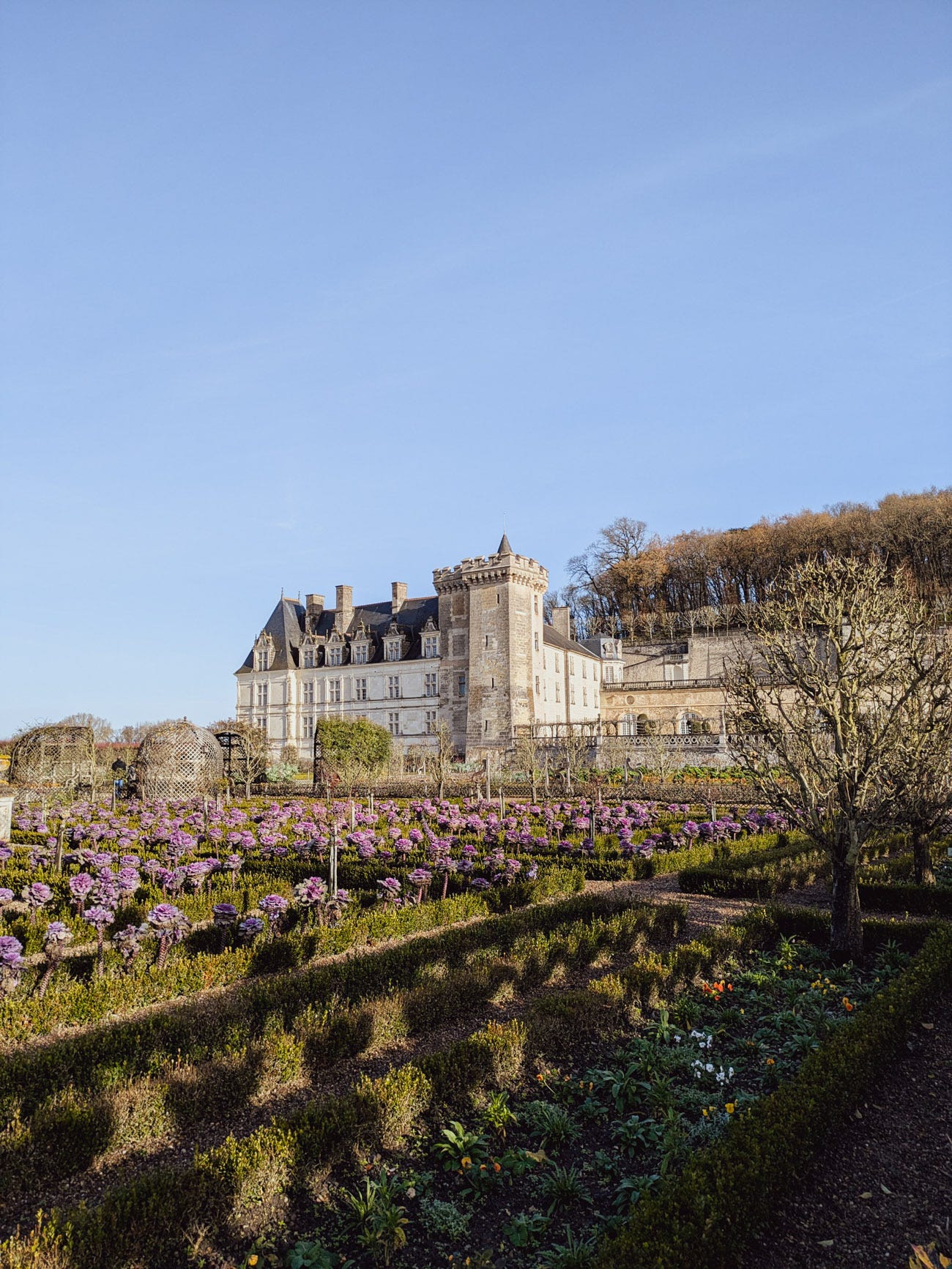 Château of Villandry