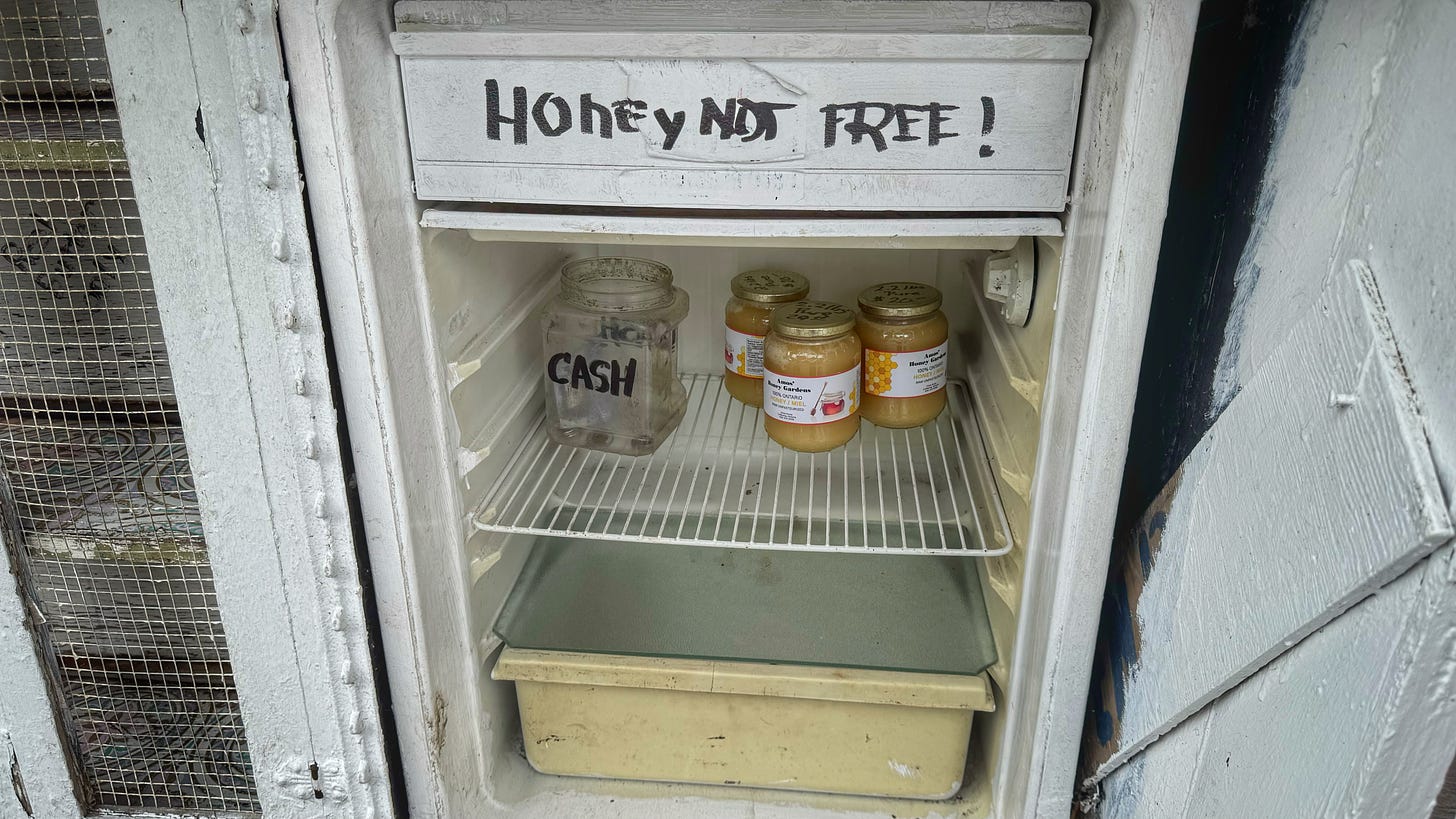 The central, open set of shelves turns out to be an old, doorless refrigerator. One one of the fridge shelves there are several jars of honey and a cookie-type jar that reads in heavy magic marker: "CASH". There is a sign above that, in similarly strong magic marker, reads "HONEY NOT FREE".