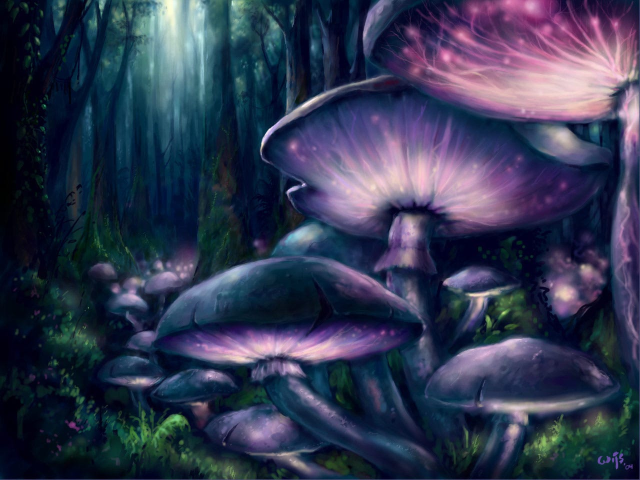 magic mushrooms by leukoula on DeviantArt