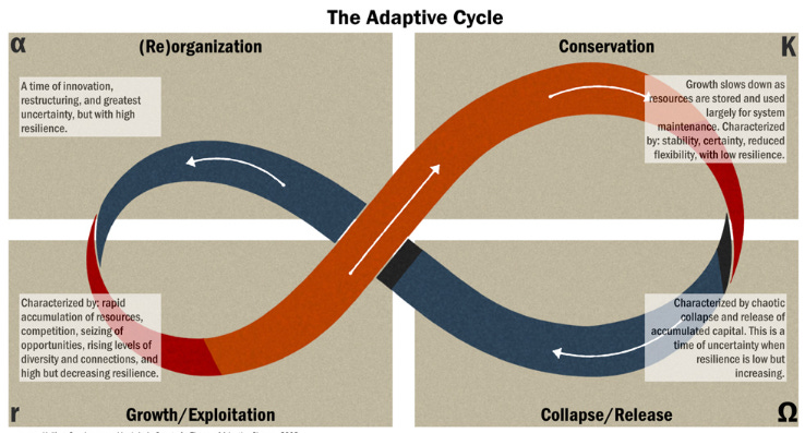 The Adaptive Cycle; #ecosystemservices #NatureMatters