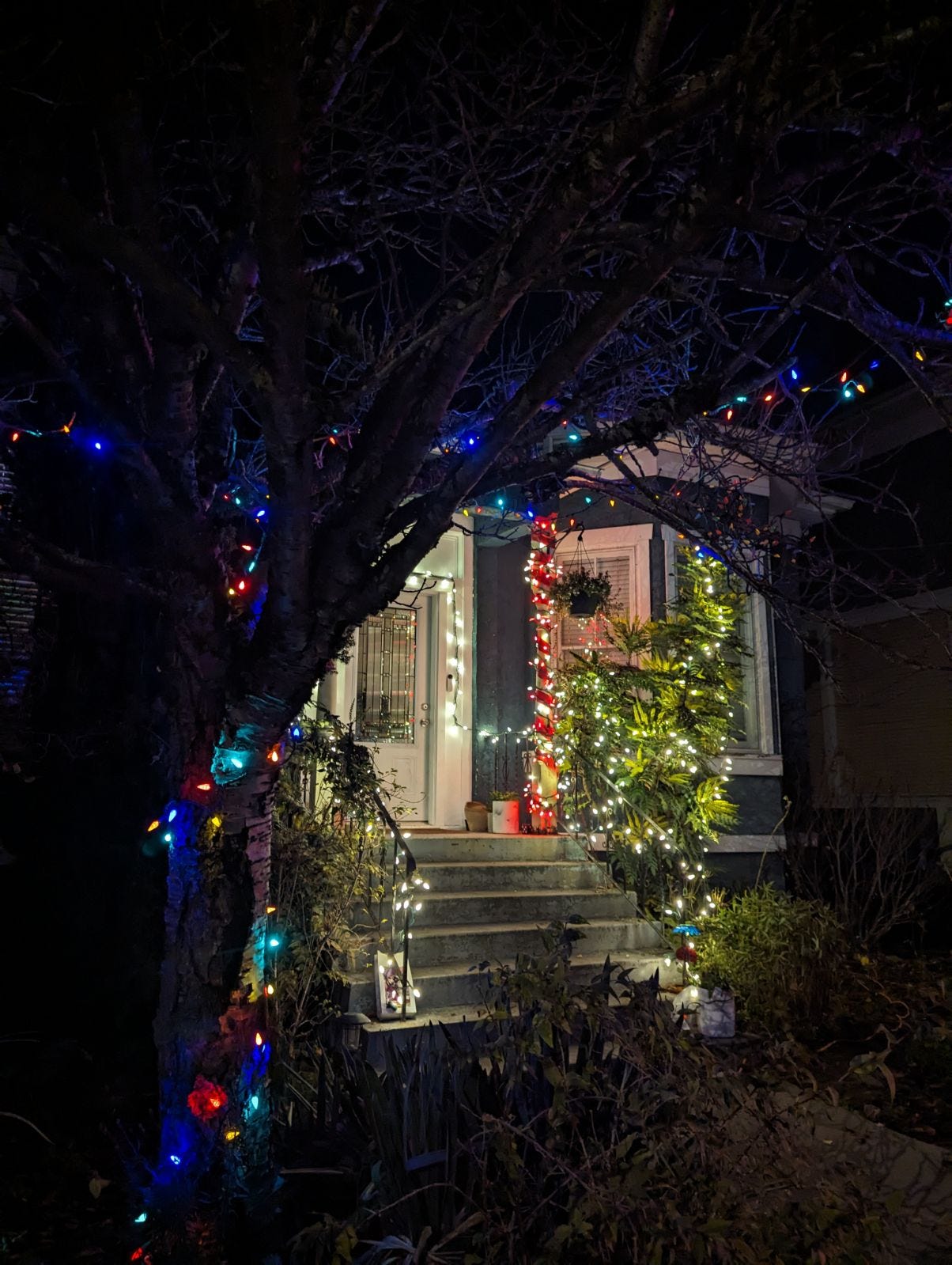 The front of a house with Christmas lights