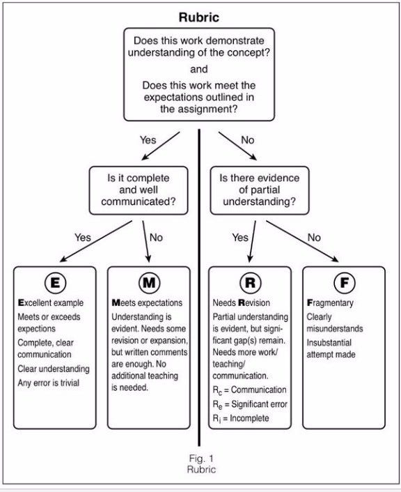 Visual diagram of the EMRF rubric