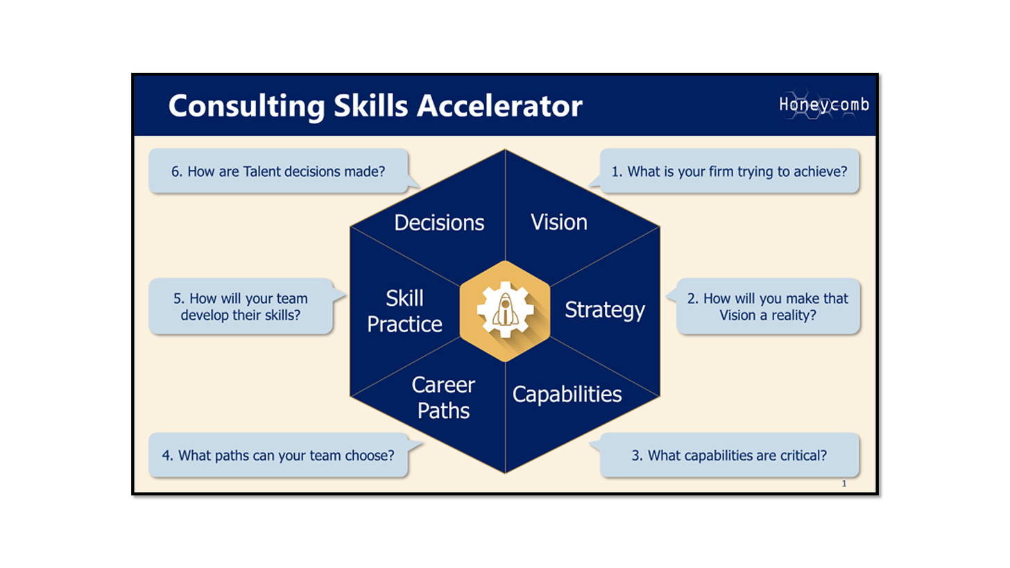 🐝 Consulting Skills Mastery Issue 6: Accelerating your own skill development as a consultant