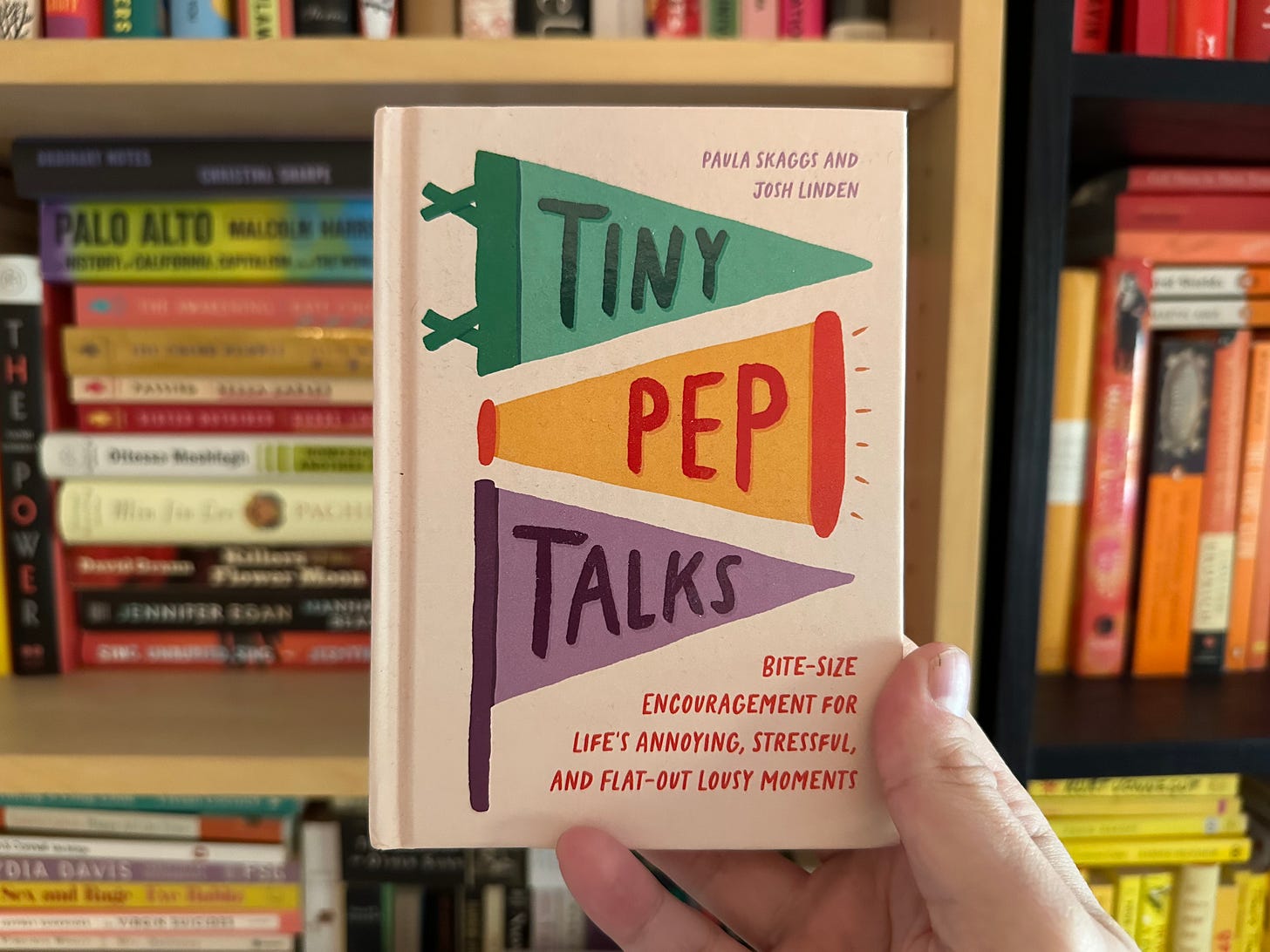 Tiny Pep Talks displayed in front of Maris's bookshelf.