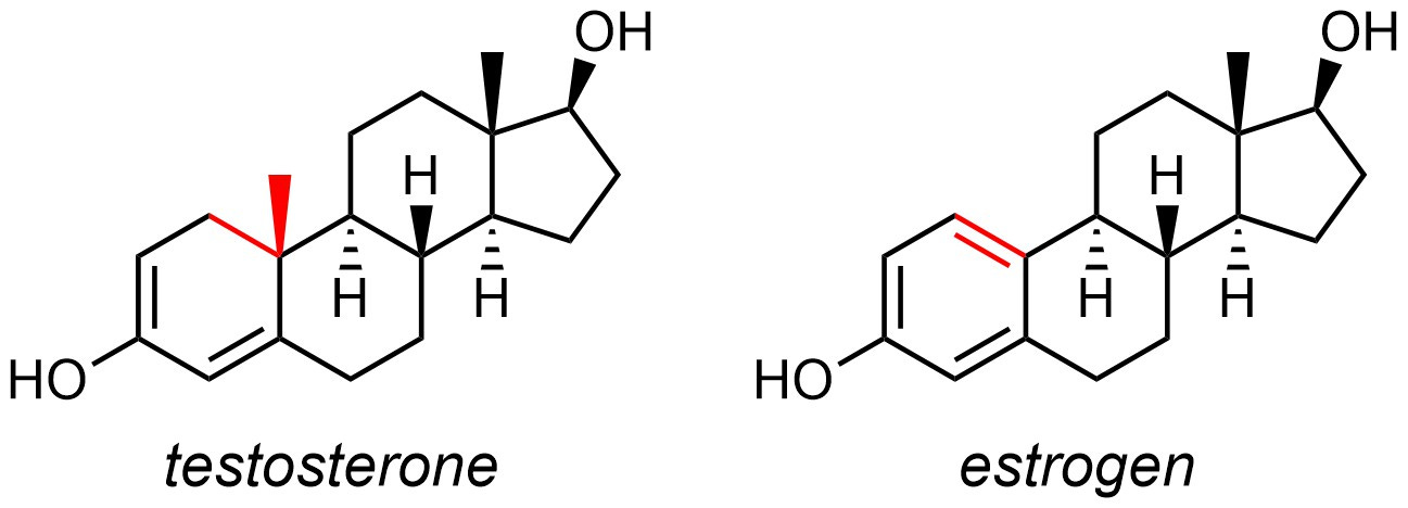2.1. Why Do We Care? – Introduction to Organic Chemistry