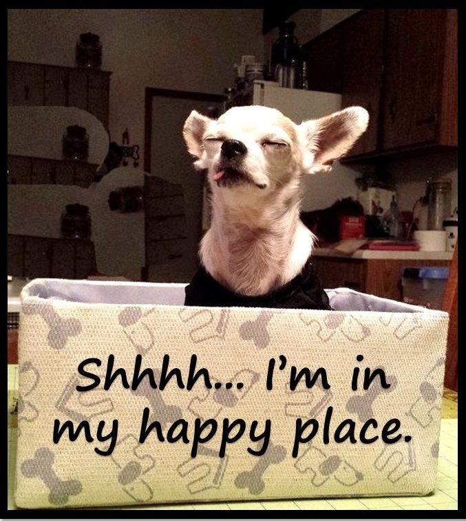 Otto, Shhhh...I'm in my happy place. FluffyButts funny dog meme | Dog memes,  Memes, Happy places