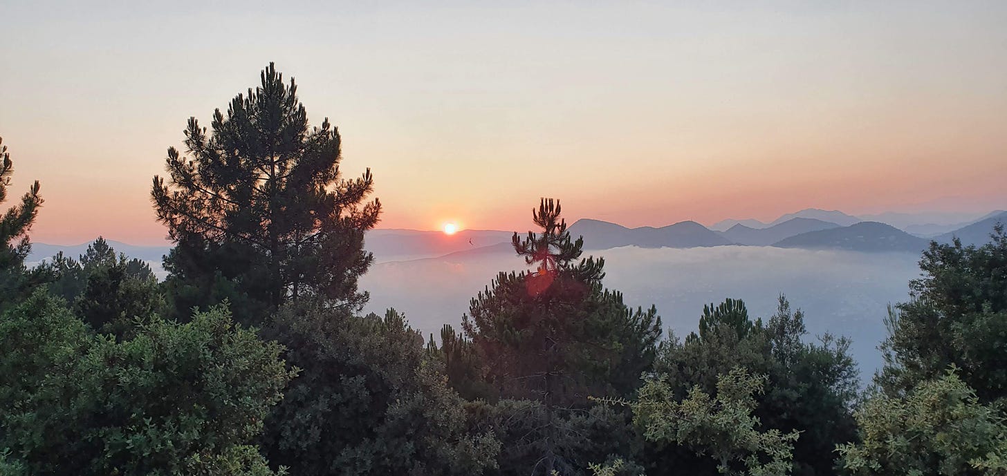 Das Bild zeigt einen Sonnenuntergang hinter Bergen. Davor steht Nebel im Tal, im Vordergrund sind Bäume sichtbar.