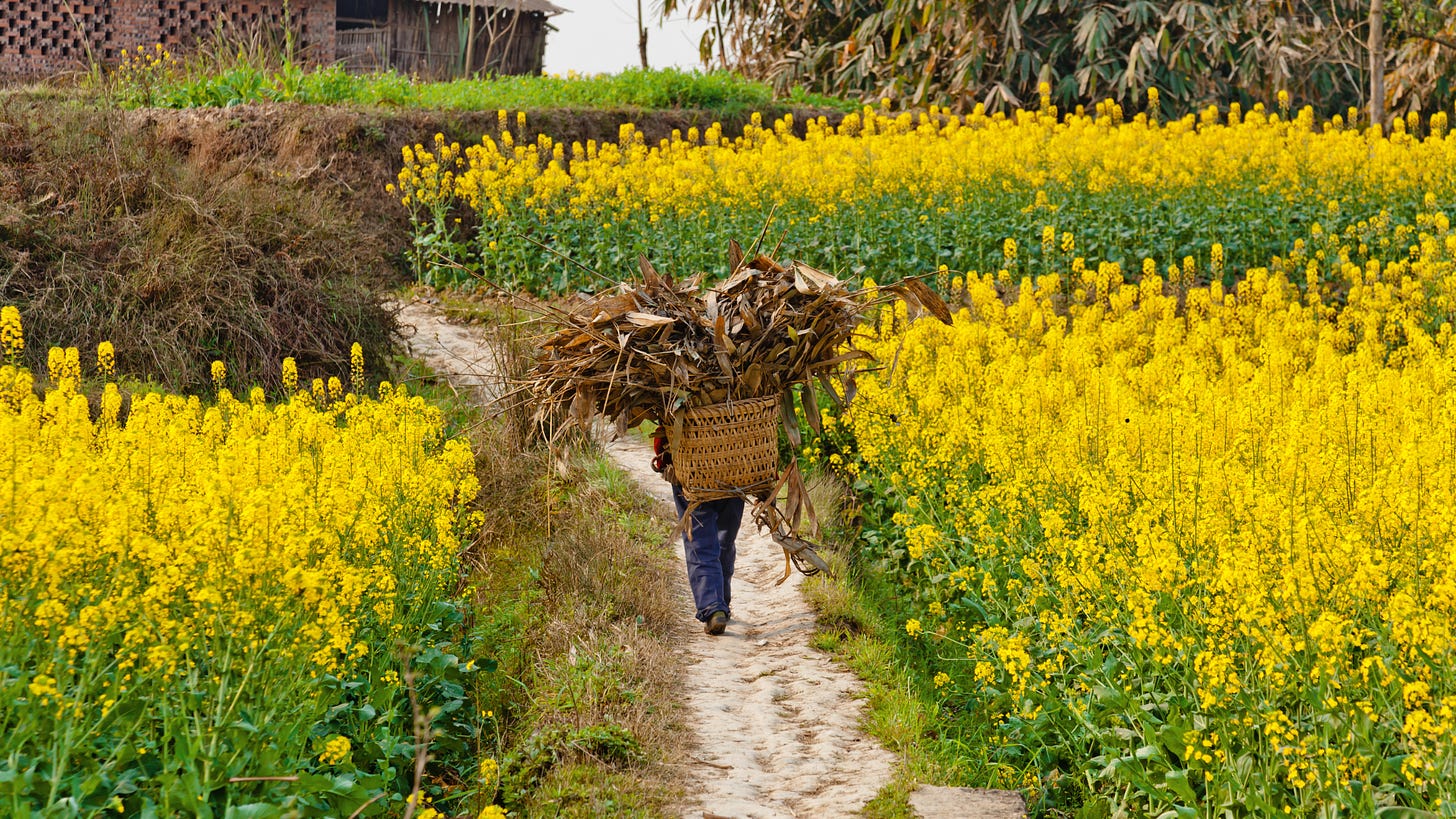 Image of rural china