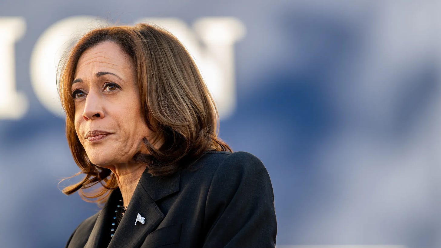 Vice President Kamala Harris on Feb. 2 in Orangeburg, South Carolina. Photo: Brandon Bell/Getty Images