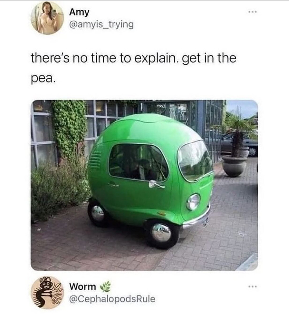 Picture of small round, green car with the caption, "there's no time to explain, get in the pea."