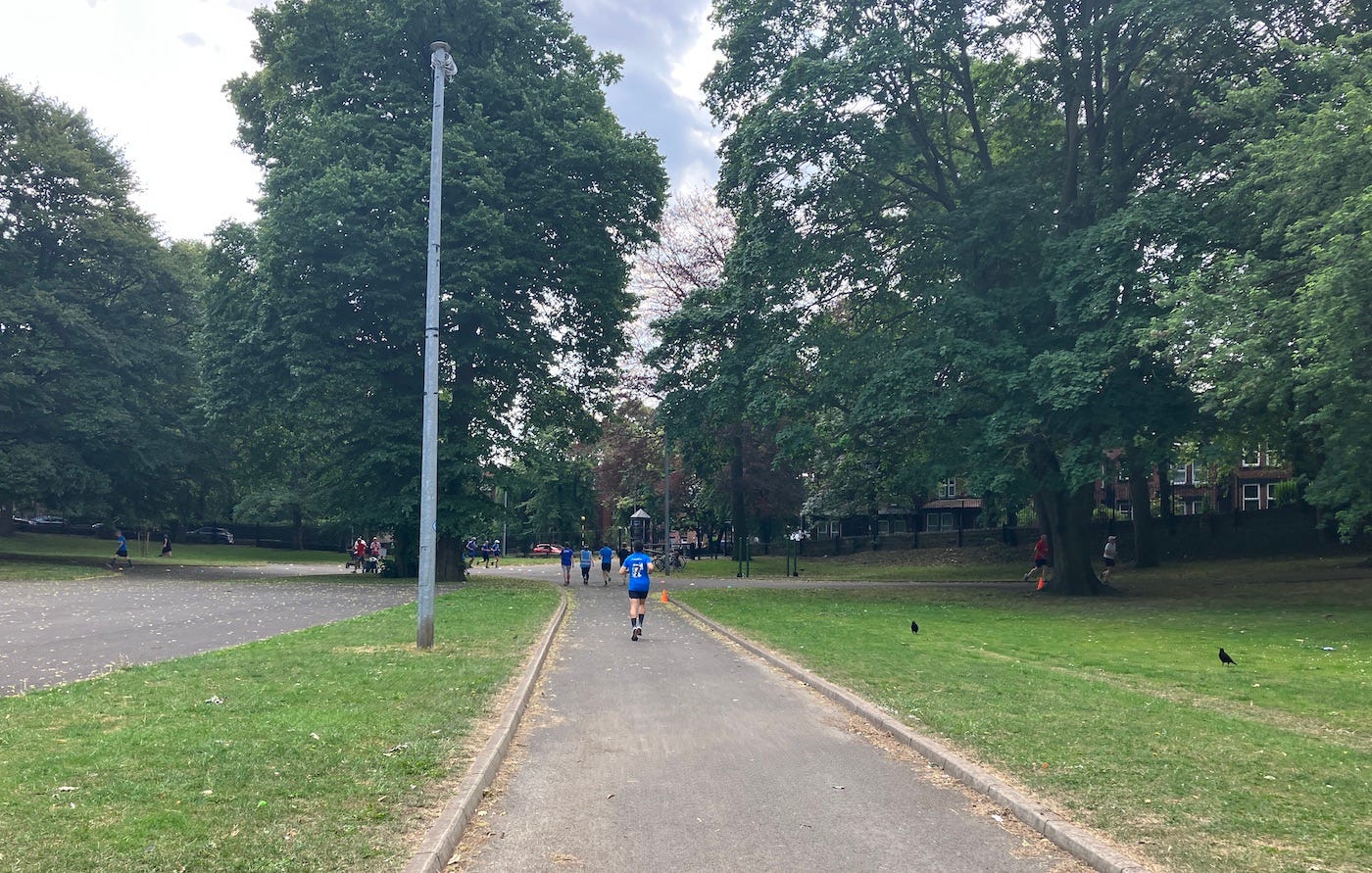 Flat path with tall lamppost and trees