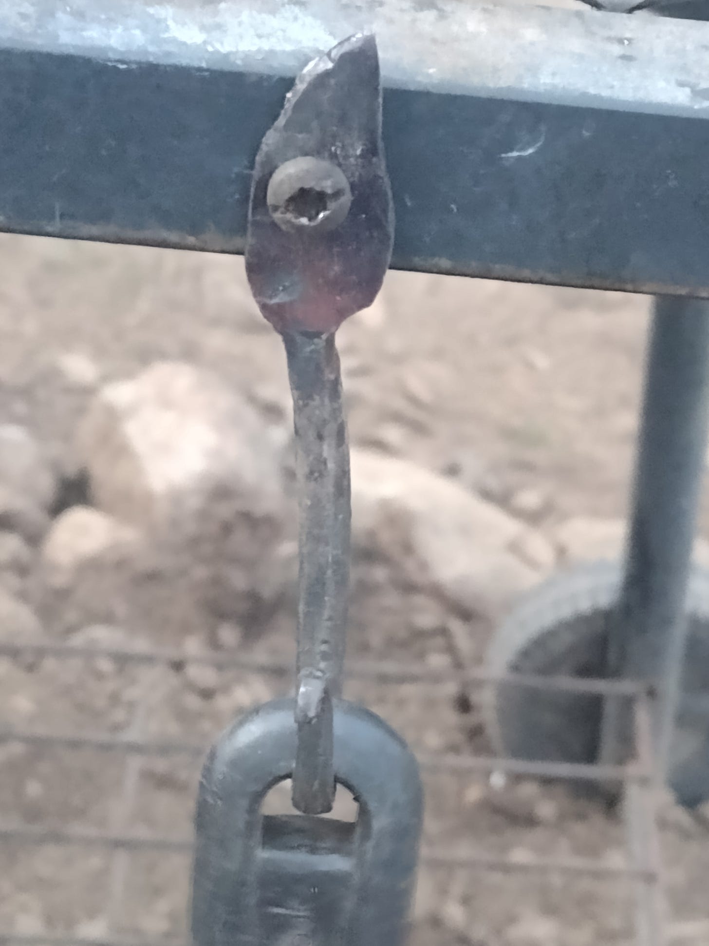 Hook mounted to barbecue, with tool hanging from it.