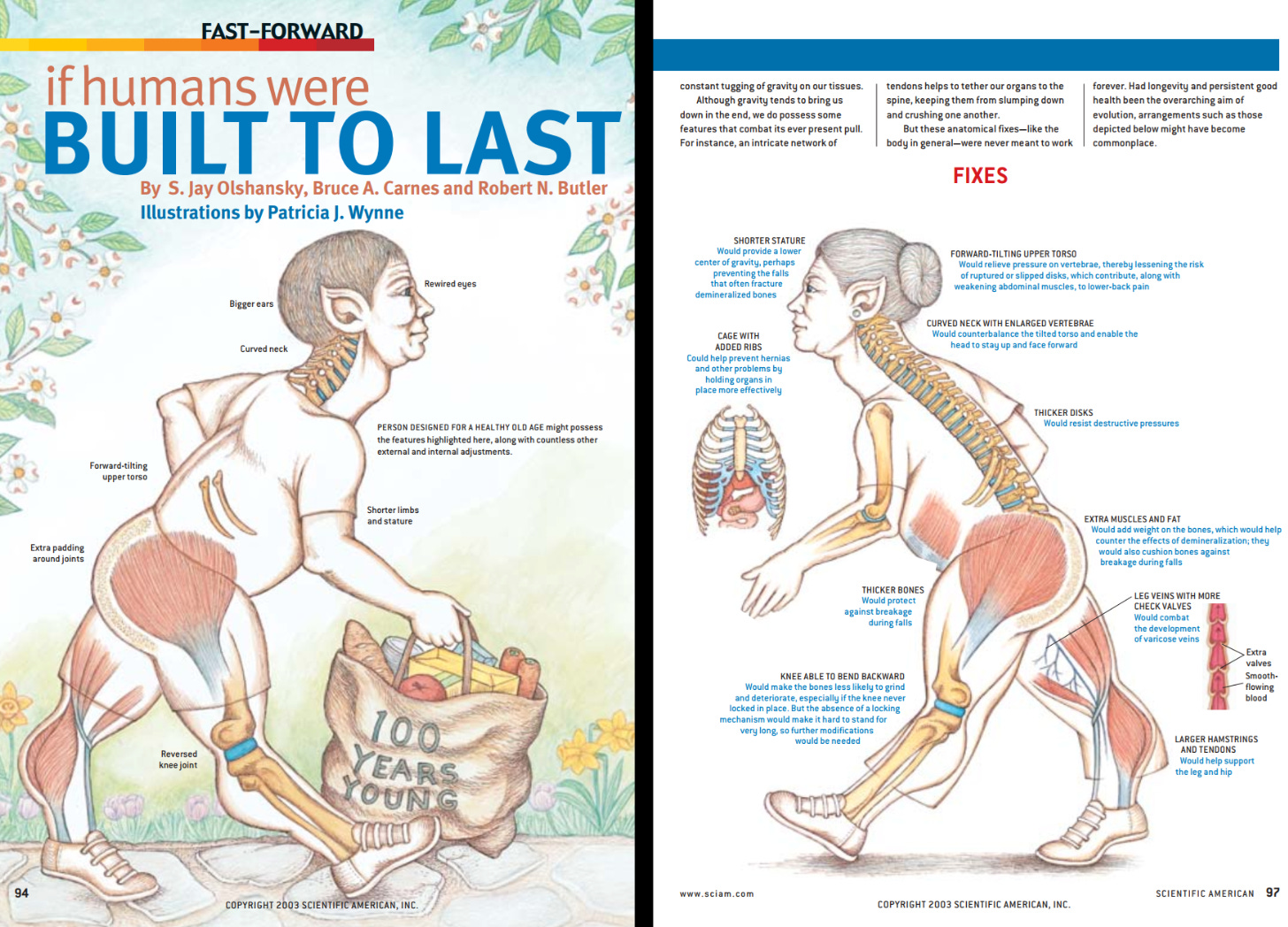 An illustration of an elderly transhuman pointing out “fixes” to inside parts like knees, spine, eyes, etc.