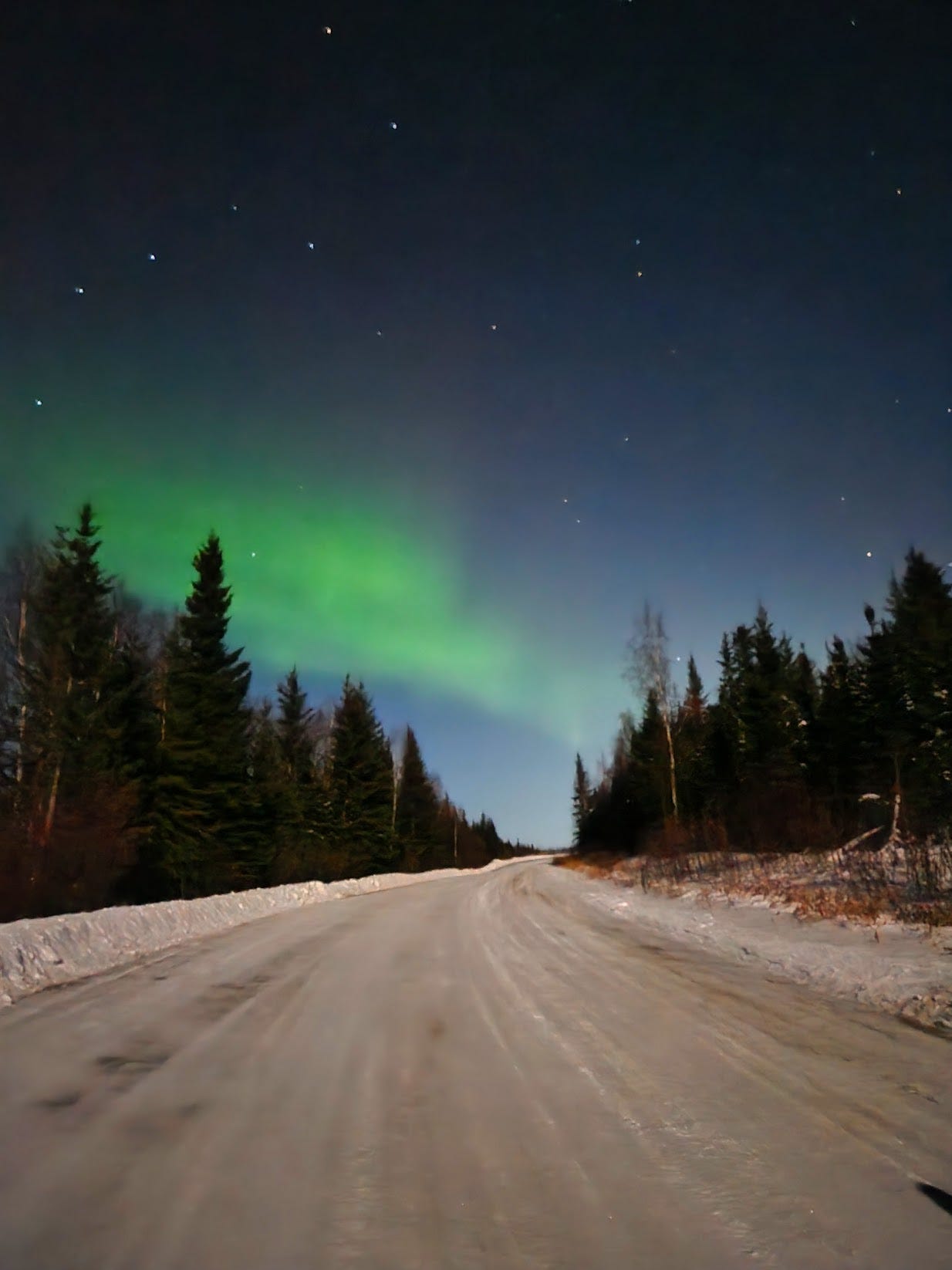 Green aurora over a snowy road and trees