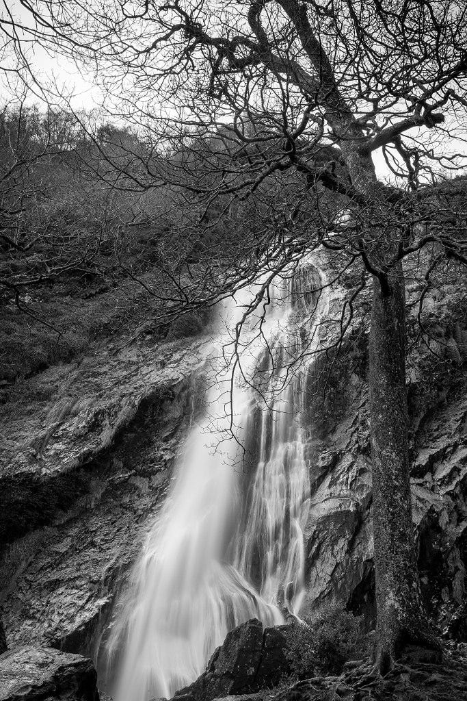 Powerscourt Waterfall by Milo Denison on 500px.com