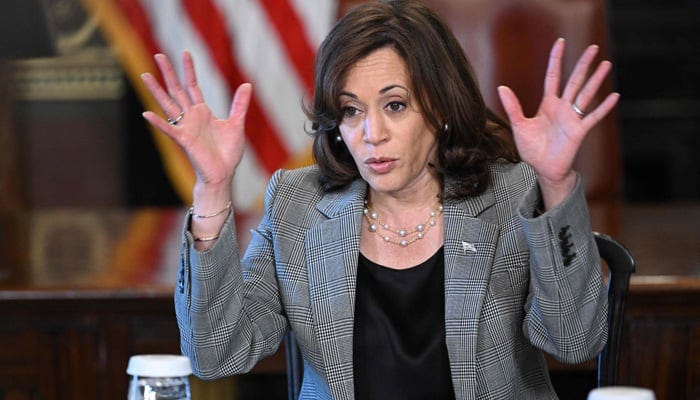 VP Kamala Harris ridiculed over her complicated explanation of AI