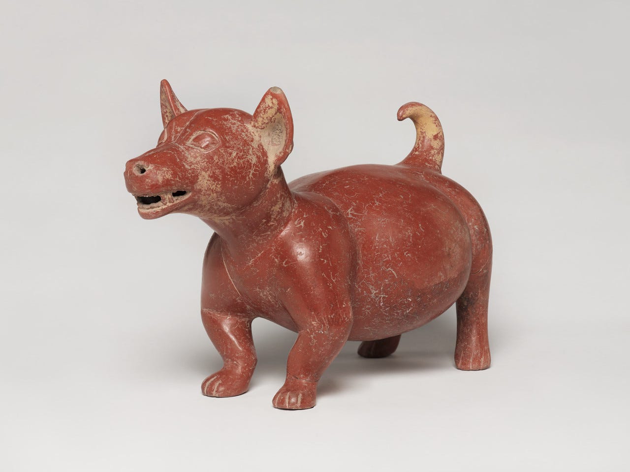 Frida Kahlo loved the Mexican hairless dog breed xoloitzcuintli, whose name is derived from two words in the Aztec language: Xólotl, the god of death; and itzcuintli, or dog. She even went as far as to name her favorite pet dog “Mr. Xolotl,” after...