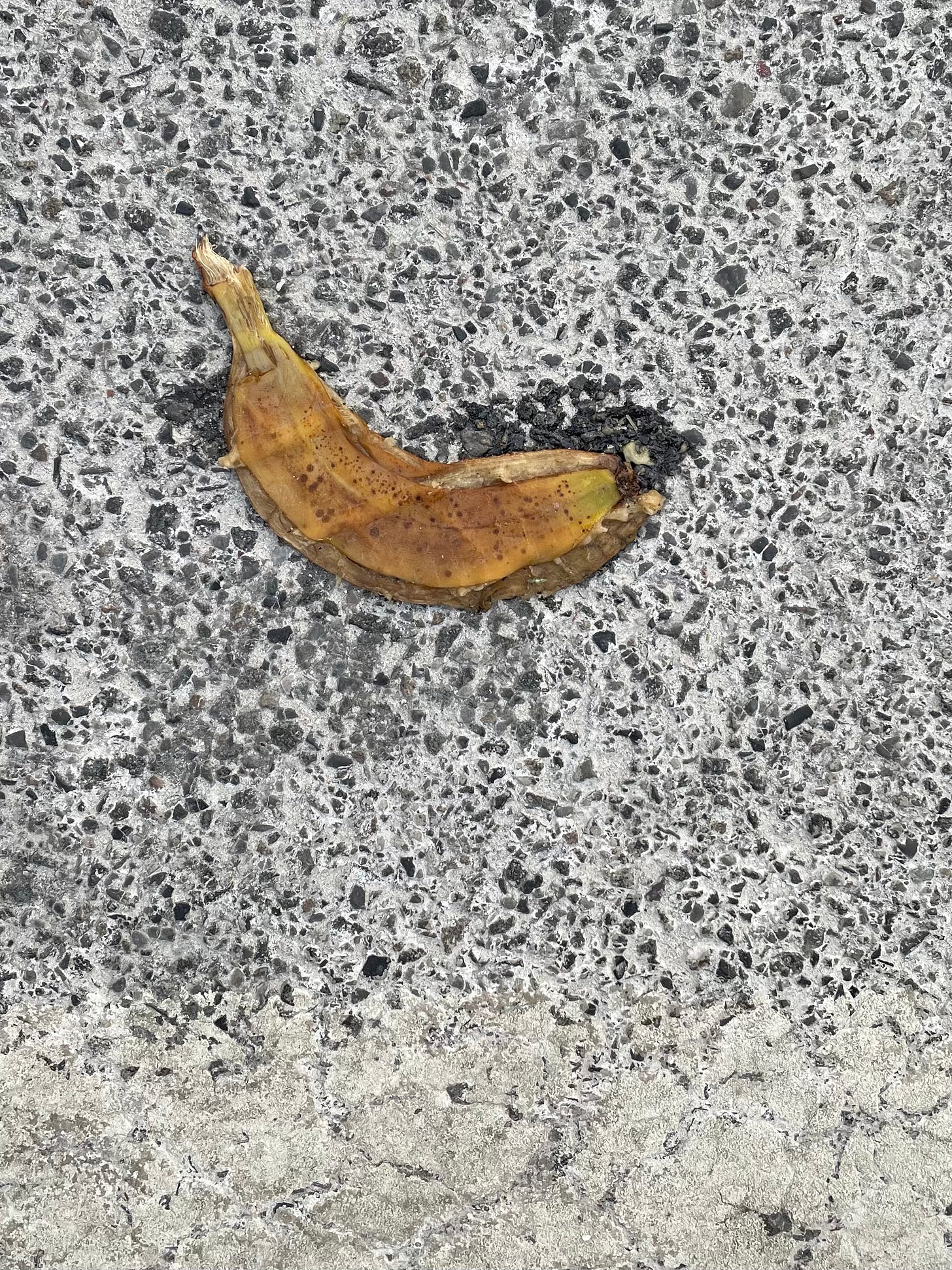 banana smashed and frozen on salt-covered street