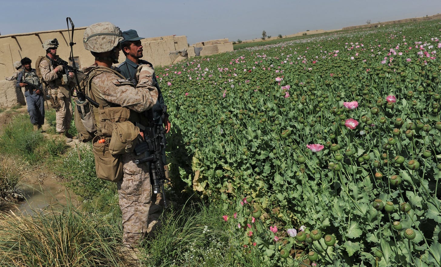 Trump Is Fueling War With Taliban By Allowing Afghanistan's Opium  Production To Hit All-Time High