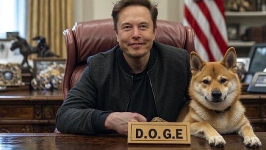 US Court Refuses To Block Elon Musk's DOGE From Accessing Students' Data