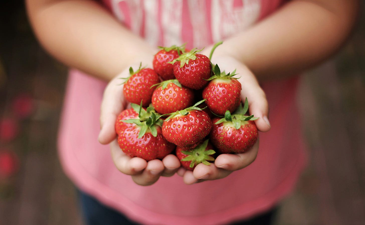 woman in a pink top holding strawberries in her two hands like an offering to you