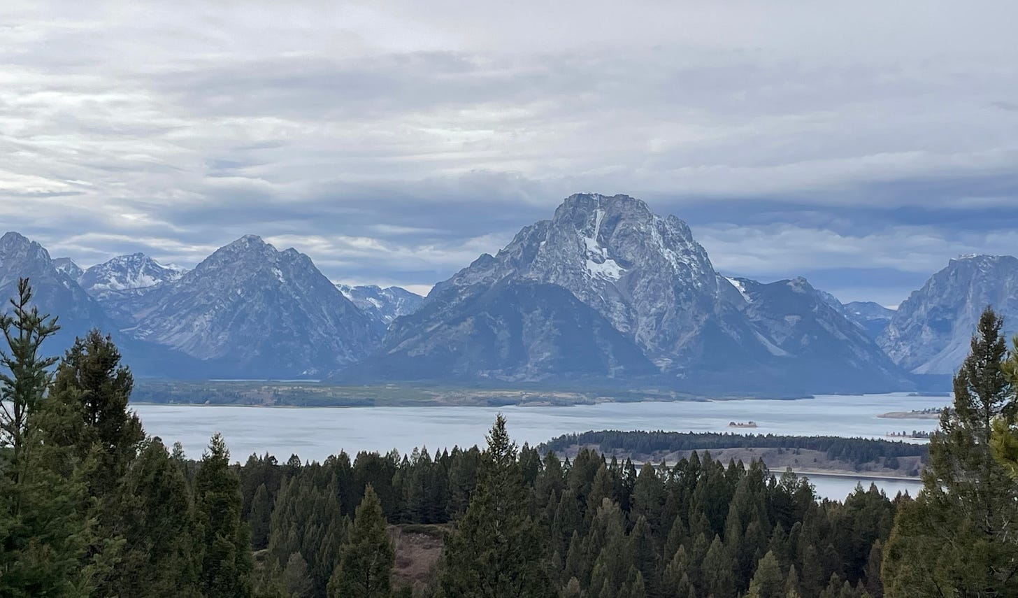 IMG_7673.jpeg IMG_7673.jpeg