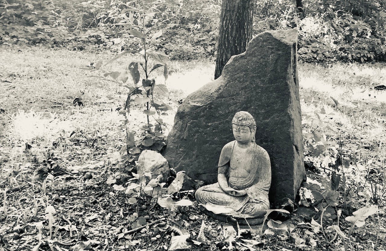 Buddha statue, sitting with hands folded, in front of a triangular rock in the middle of the woods