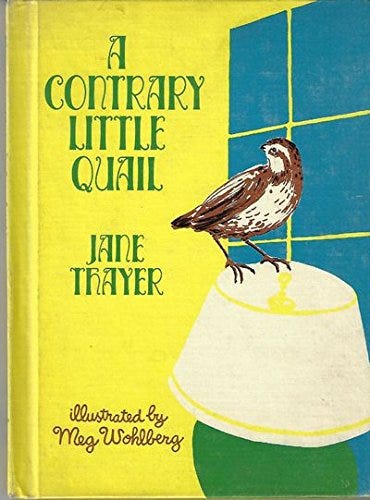 A contrary little quail