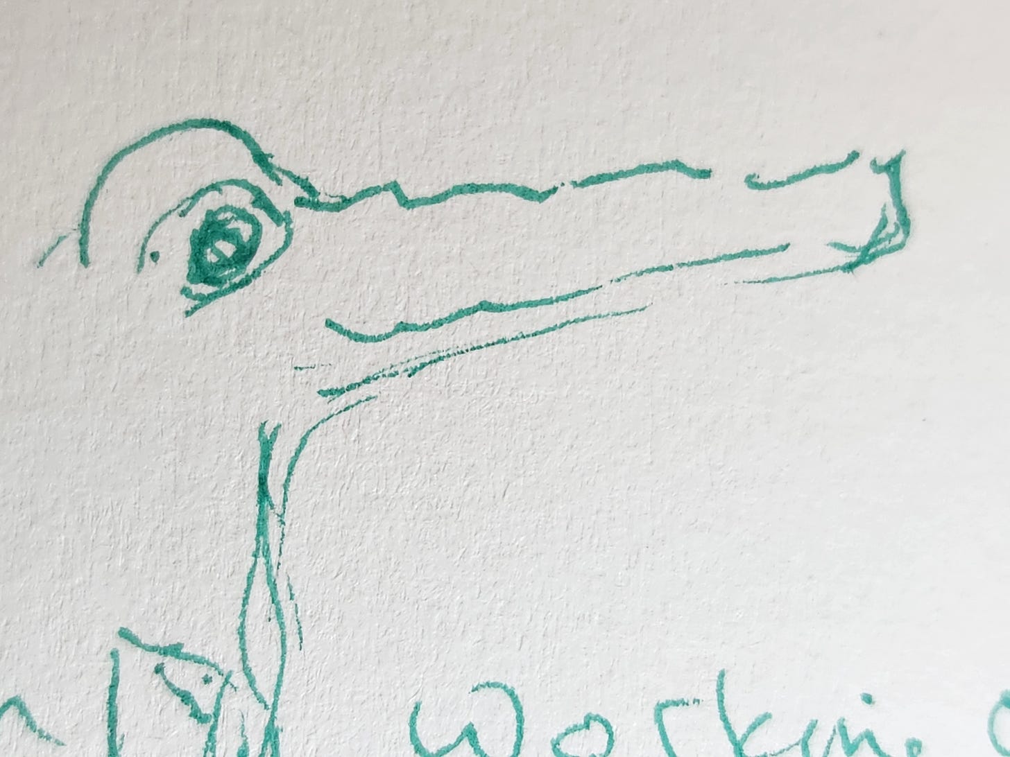 a drawing of a head and eye of what looks more like an alligator than a dragon.